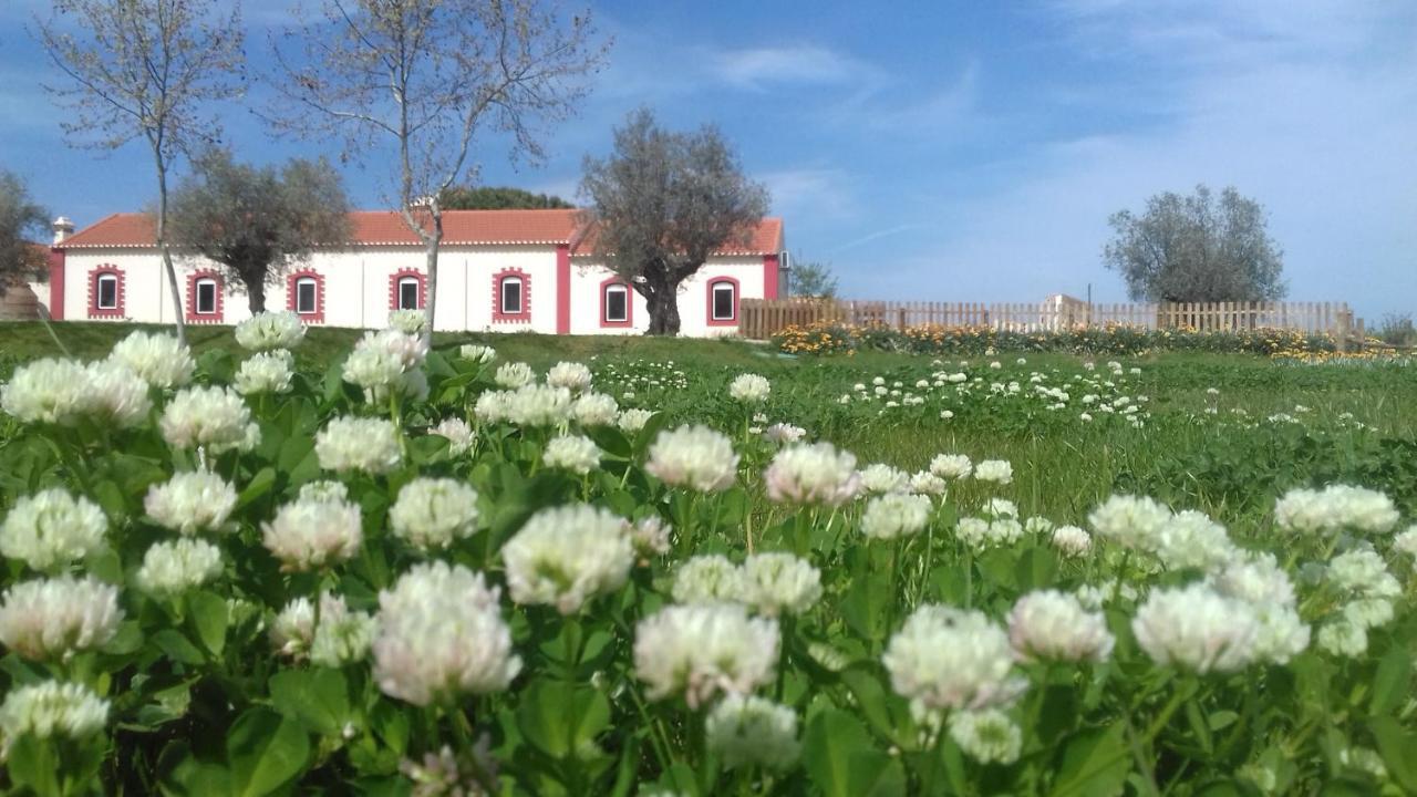 Hôtel Casal Das Flores à Torres Novas Extérieur photo