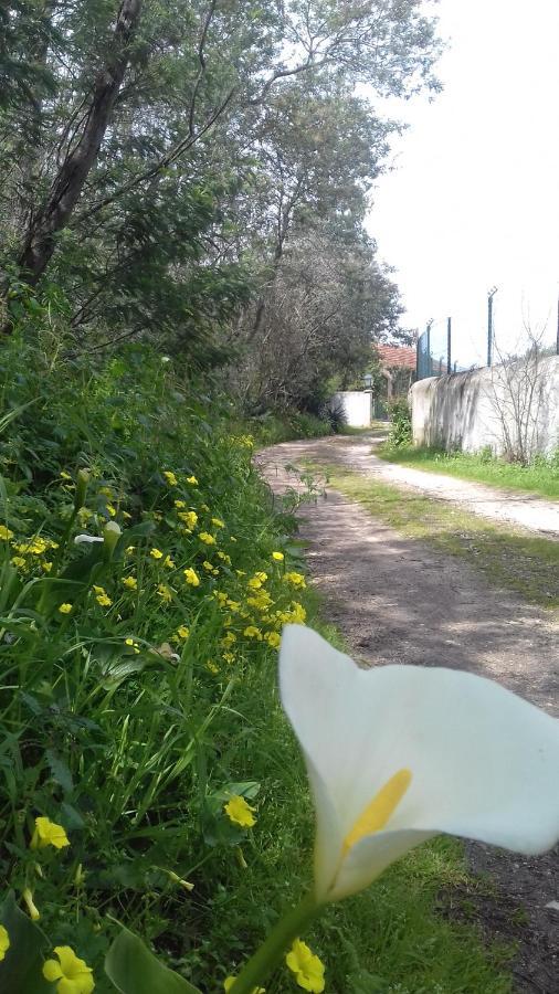 Hôtel Casal Das Flores à Torres Novas Extérieur photo